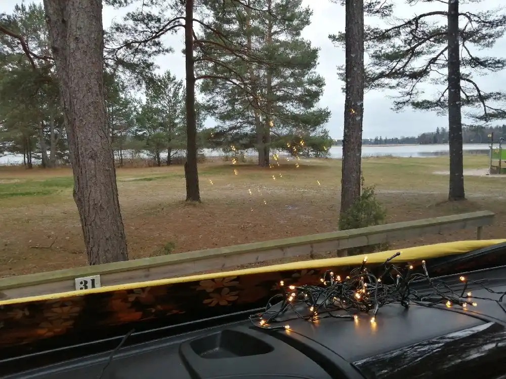 En bil kör längs en väg vid Strandstuvikens havsbad & camping. Morgon- eller kvällssolens strålar skiner genom tallskogen, vilket skapar långa skuggor över vägen.