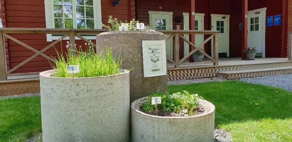 En grönskande trädgård med buskar och perenner omger en uteplats med blomkrukor och en cylinderformad betongdekoration, typisk för Långsjön Stugor & Camping.