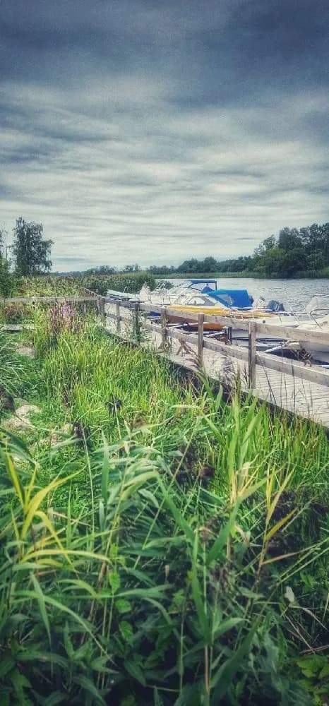Bild av Martins Rökeri och Camping, med en klar blå himmel och några vita moln ovanför. Landskapet är grönt och frodigt, vilket skapar en somrig och naturlig atmosfär i området.
