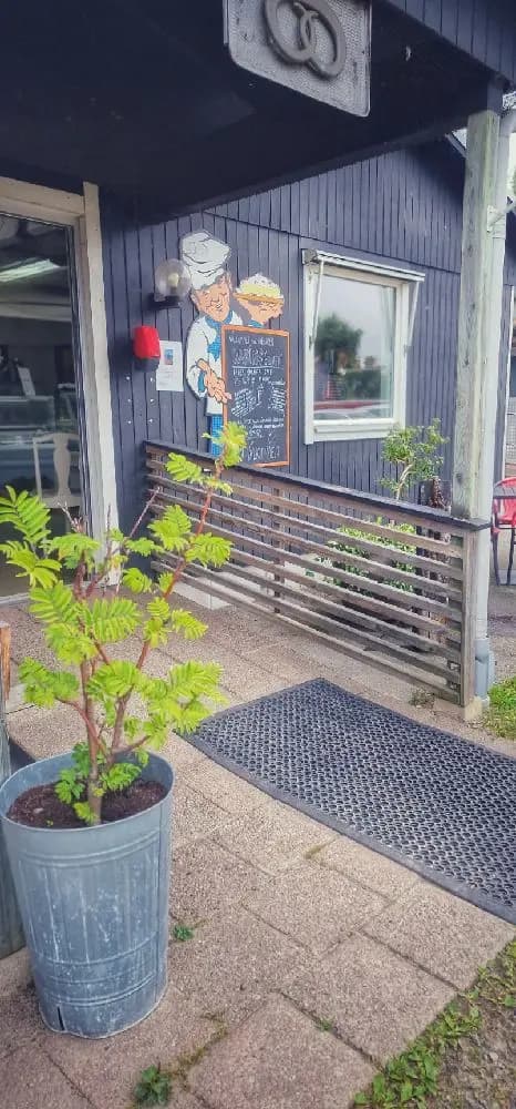 Alt-text: "En trädgårdsmiljö vid Martins Rökeri och Camping, med blomkrukor, en promenadstig och grönskande bakgård."