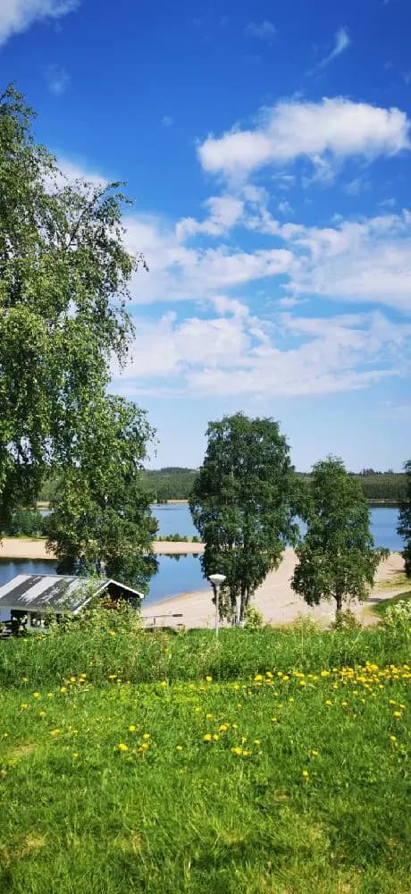 Bilden visar en somrig, grön naturlandskap vid Särna Camping med en klar blå himmel i bakgrunden.
