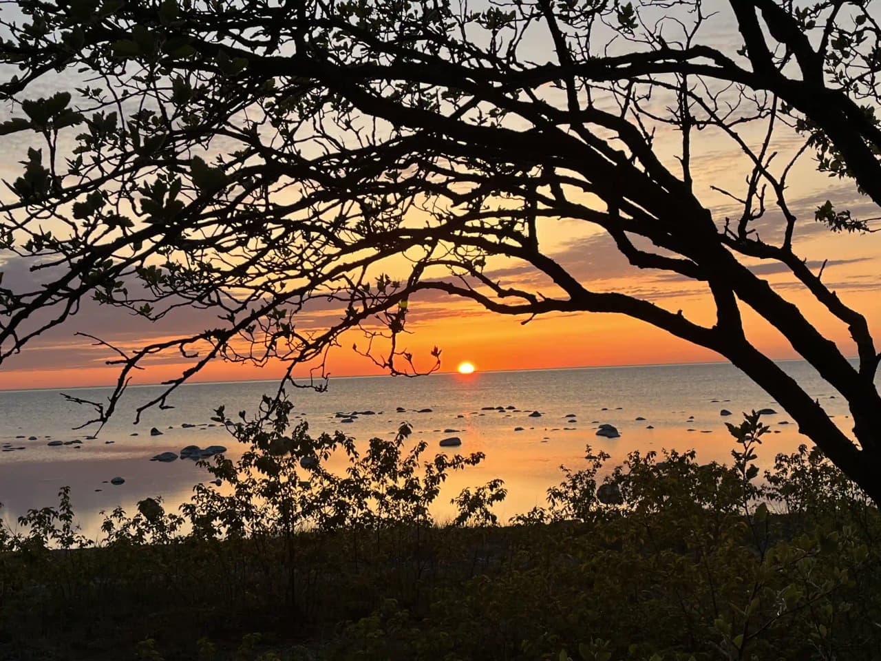 Solnedgång över Kneippbyn Resort Visby där himlen är fylld med varma orange toner. Silhuetter av grenar och natur syns mot horisonten, vilket skapar en vacker och lugn atmosfär vid skymningen.