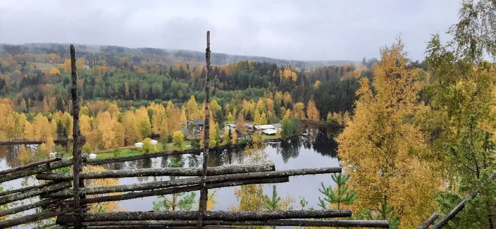 En lugn naturmiljö vid Näsåkers camping & stugby med tät skog av barrträd, inklusive lärk och gran, omgivande landskapet.