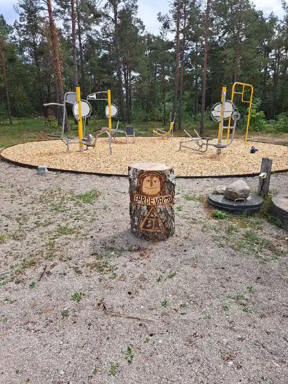 En grön park med en lekplats som inkluderar en gungställning och en klätterställning, omgiven av träd och gräsmatta.