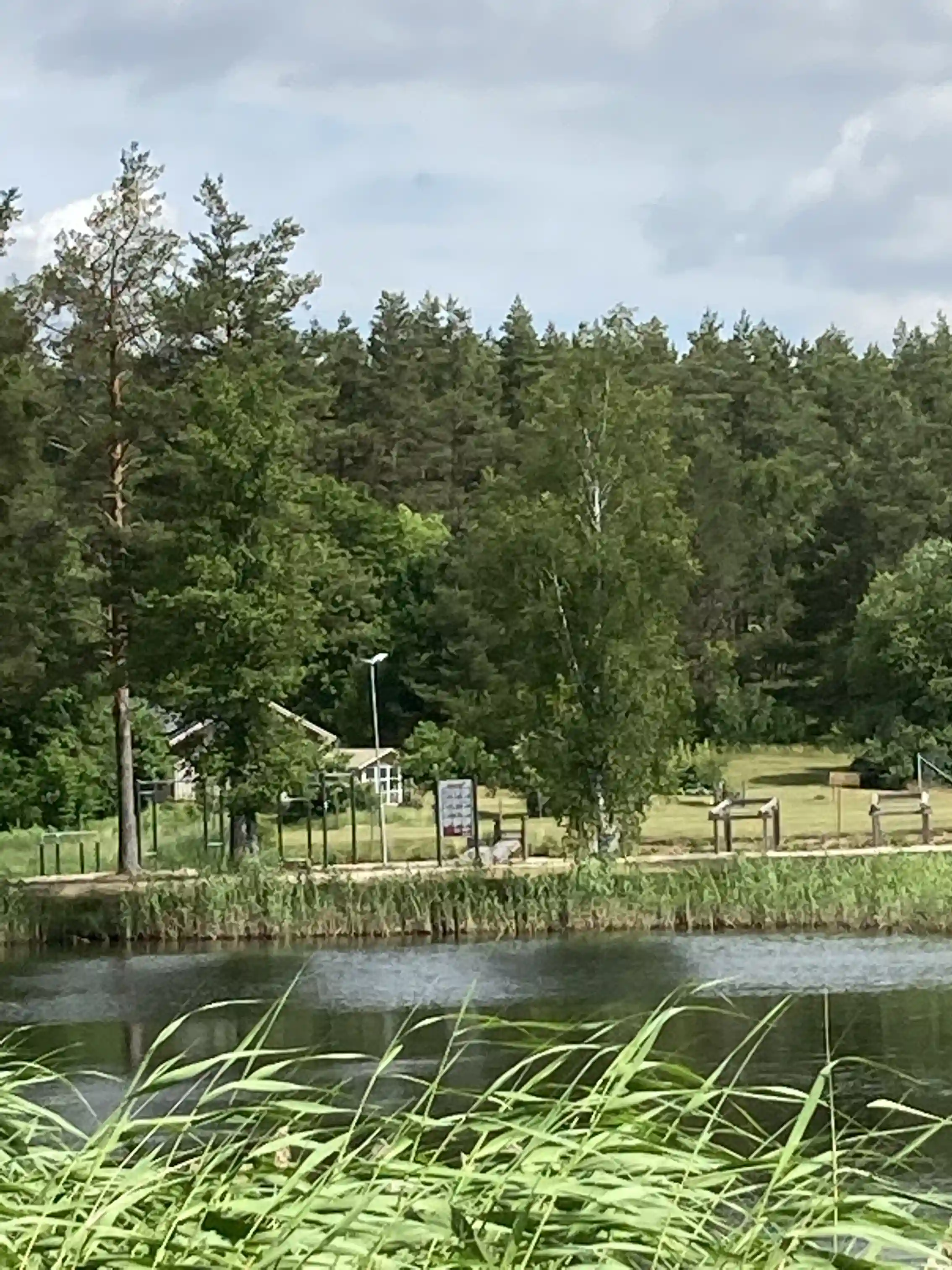 En fridfull vildmarkscamping vid Skruvs vildmarkscamping med grönskande träd och växter omgivandes en stilla våtmark. Strålande gräs och en liten damm bidrar till den natursköna miljön.