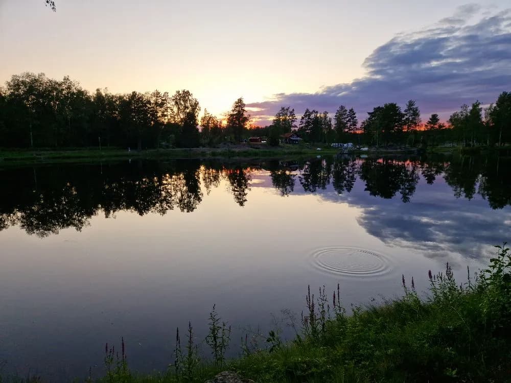 Skruvs naturcamping: En fridfull reträtt i natursköna omgivningar. Upplev lugn och uppfriskande äventyr vid vackra laxsjön.