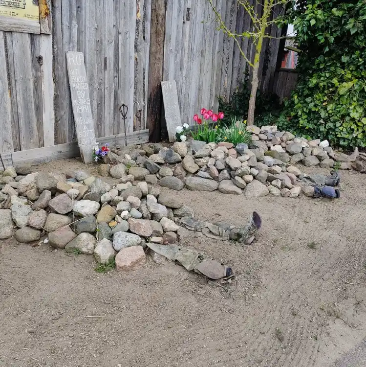 Stenlagd trädgård med dekorativa stenar, växter och grön markvegetation vid ställplats Wild West.