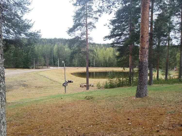 En grönskande campingplats omgiven av träd och skog, med öppna gräsytor som sträcker sig över landskapet.