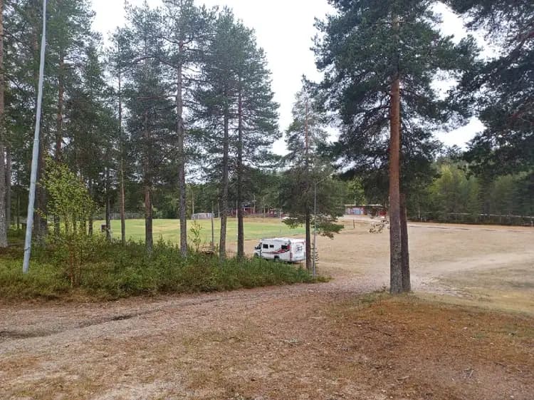 En grönskande campingplats i Ljusvattnet, omgiven av träd och gräs. Marken är täckt av ett mjukt gräs och det finns en uppfart som leder in i området. Skogen består främst av lärk- och andra lövträd.