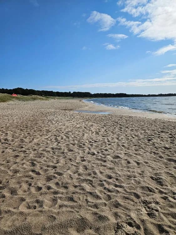 Upptäck Sandbybadets Camping på Öland – en avkopplande oas för hela familjen, bara 200 m från en härlig sandstrand. 🏖️🌿