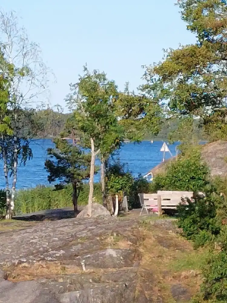 En solig strand vid kusten med gröna träd i bakgrunden och en glittrande blått hav i förgrunden, en del av Hargshamns camping.