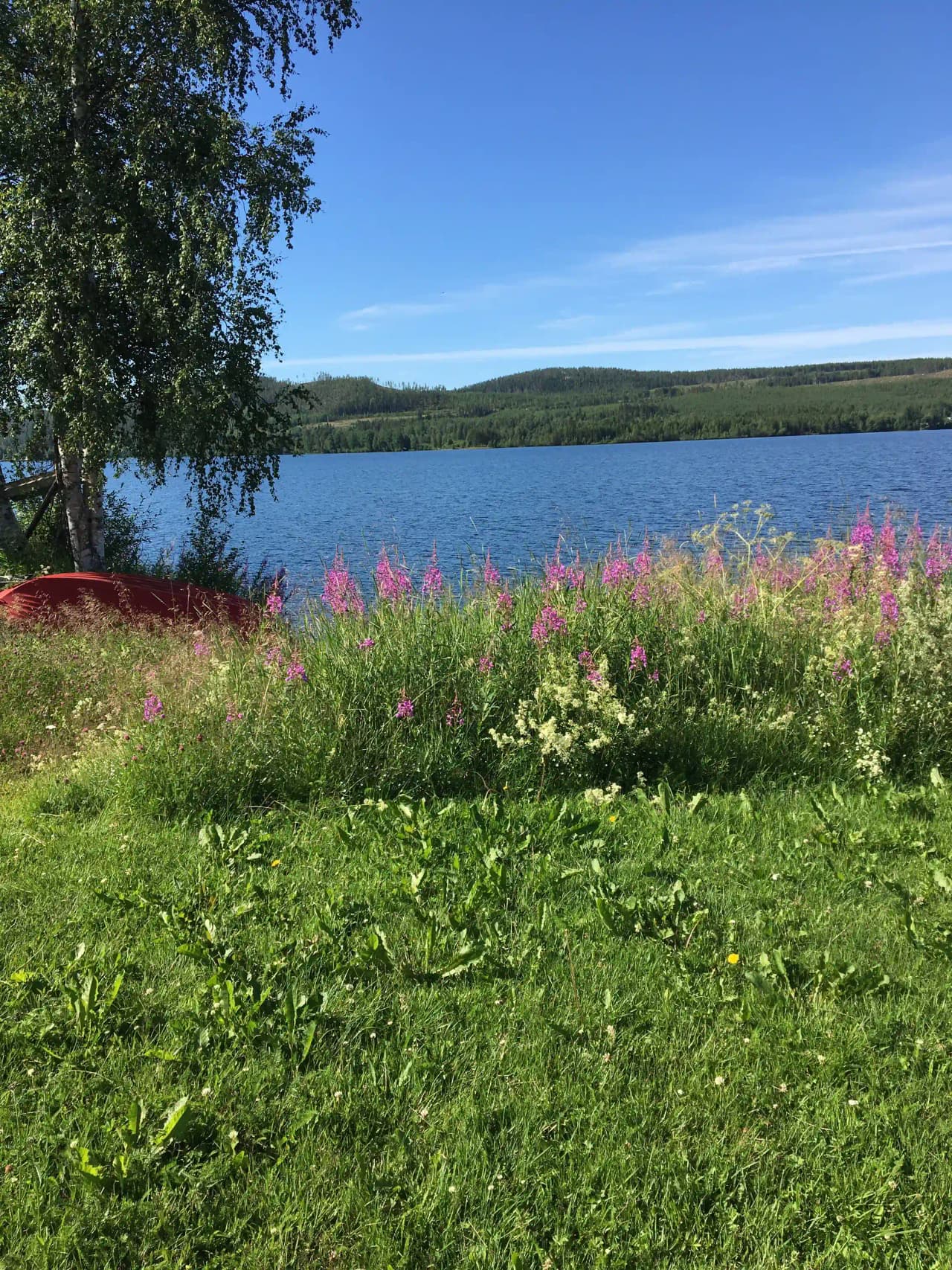 En grönskande campingplats vid en sjö, omgiven av blommor, buskar och gräs.