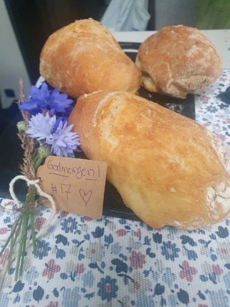 Upplev frid och äventyr vid Rätanssjön – natur, bekväma boenden och året runt-aktiviteter väntar på Rätans Camping!