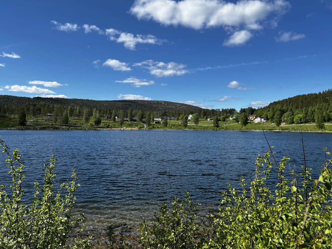En sjö omgiven av frodig grönska vid Måvikens camping & naturområde, med klarblå himmel som speglas i det lugna vattnet.