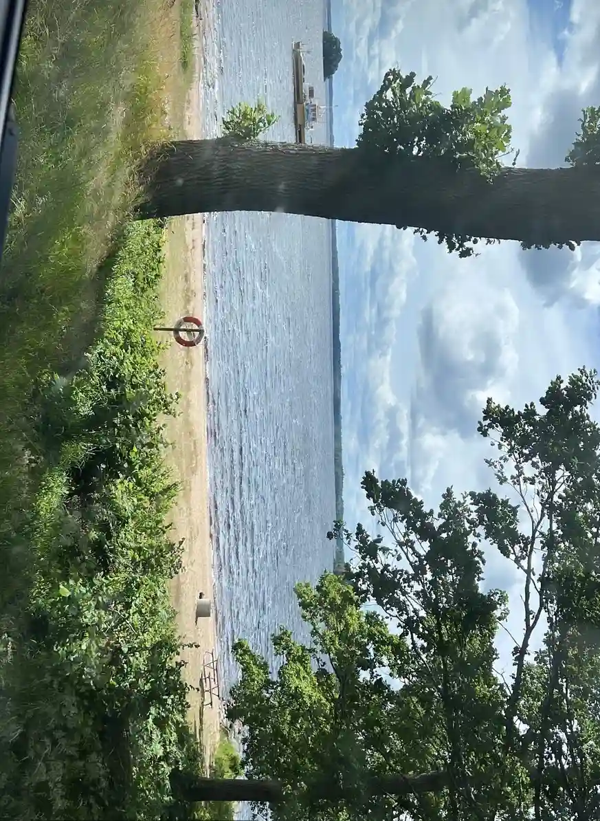 En klarblå himmel med fluffiga vita moln badar i solljus över Hägern Bed & Nature, en plats för avkoppling och naturupplevelser.