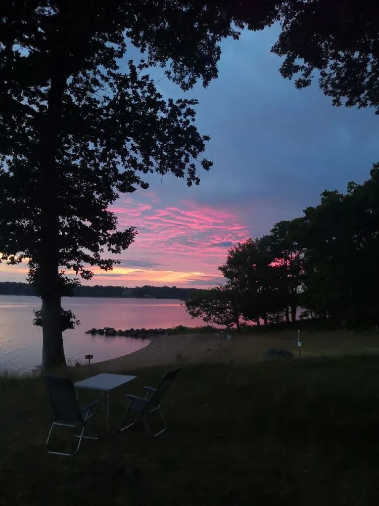 En vacker solnedgång över en somrig natur med siluetter av trädgrenar mot en färggrann himmel.