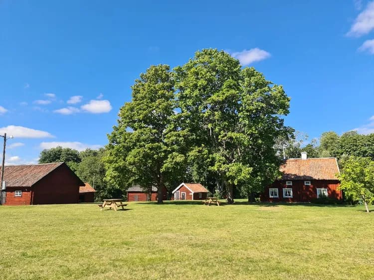 En lantlig scen vid Kvarngården Hembygdsgård med grönt gräs, spridda träd och ett traditionellt hus i bakgrunden.
