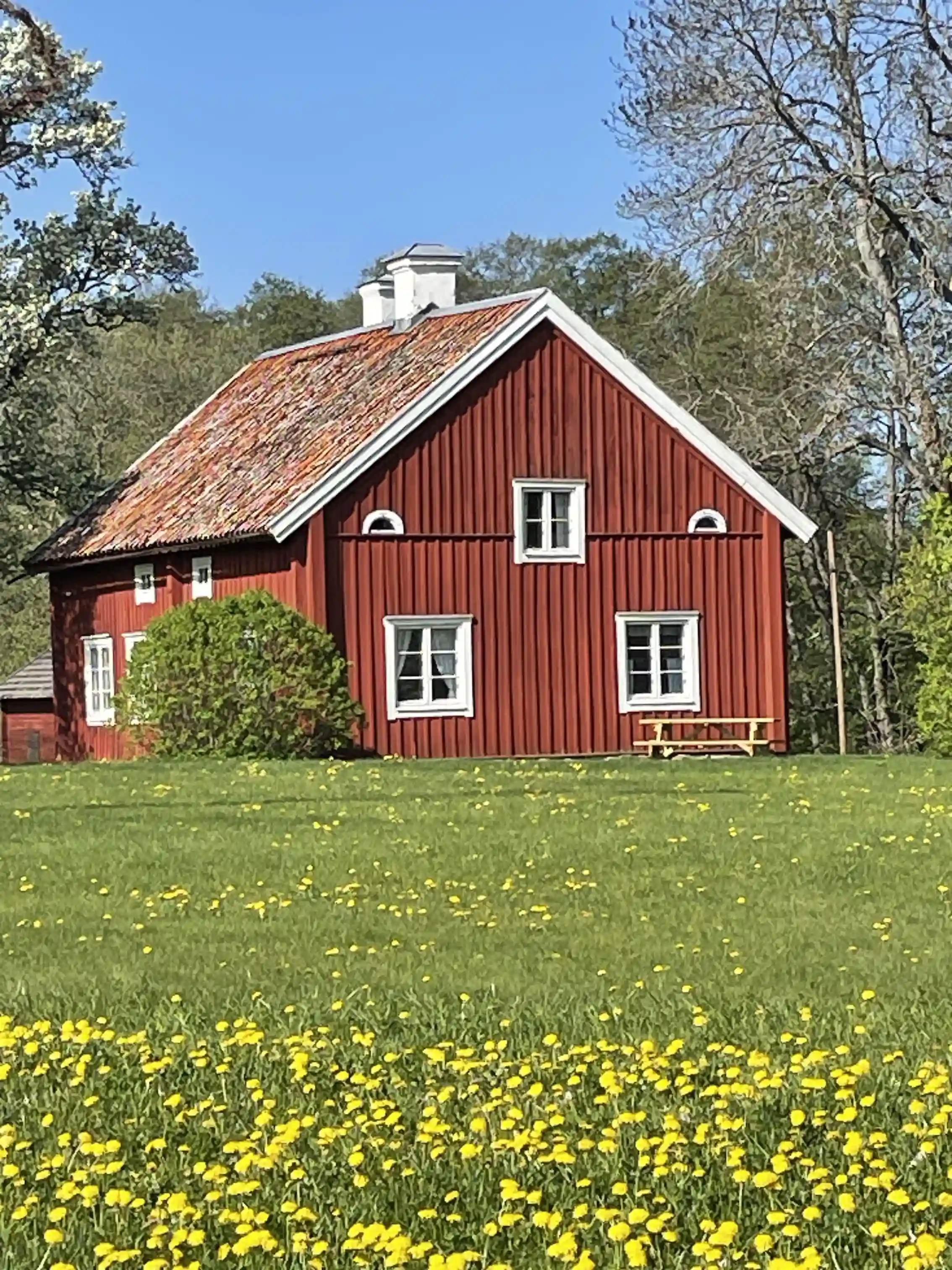 En pittoresk lantlig hembygdsgård med gräsområden och en enkel cottage-stil byggnad omgiven av gröna växter.