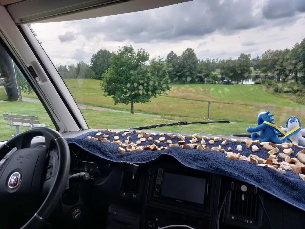 Upplev lugn och äventyr på charmiga Påarps Gård, perfekt för avkoppling, sport och konferenser i vackra Västergötland!