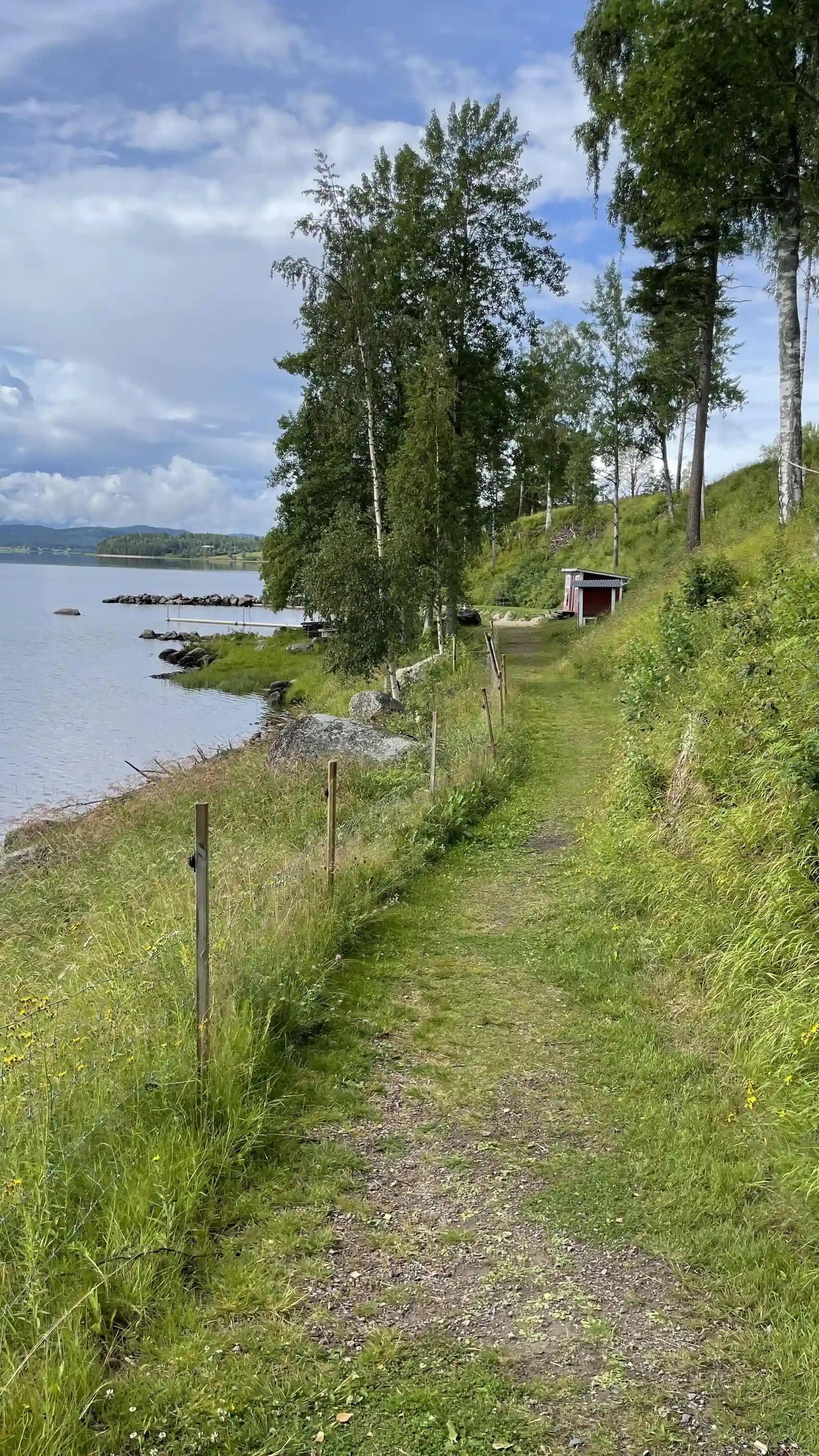 En grön och lummig ställplats i Gideå med gräs och växtlighet, omgiven av naturligt landskap och kustnära former under en molnig sommardag.