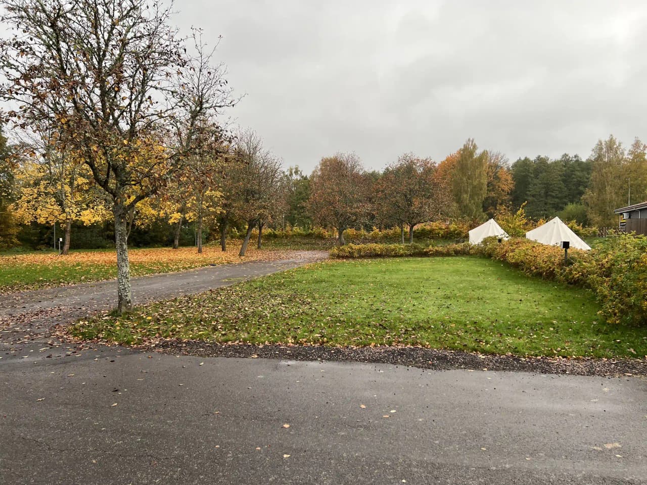 Upptäck fridfullhet mitt i naturen på Camp Fjället med skogar, sjöar och varierande boenden för varje smak. Välkommen!