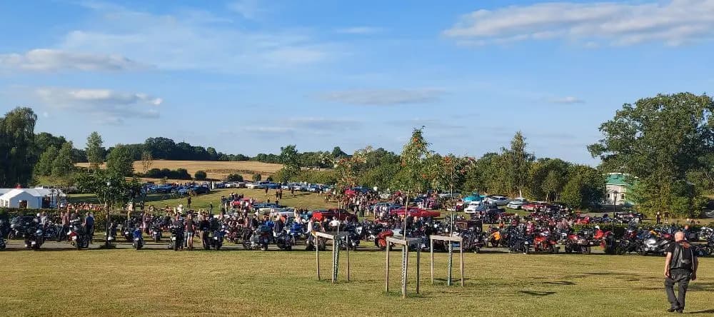 En grupp människor samlade vid ett campingområde bland träd, med tält och en avslappnad atmosfär.