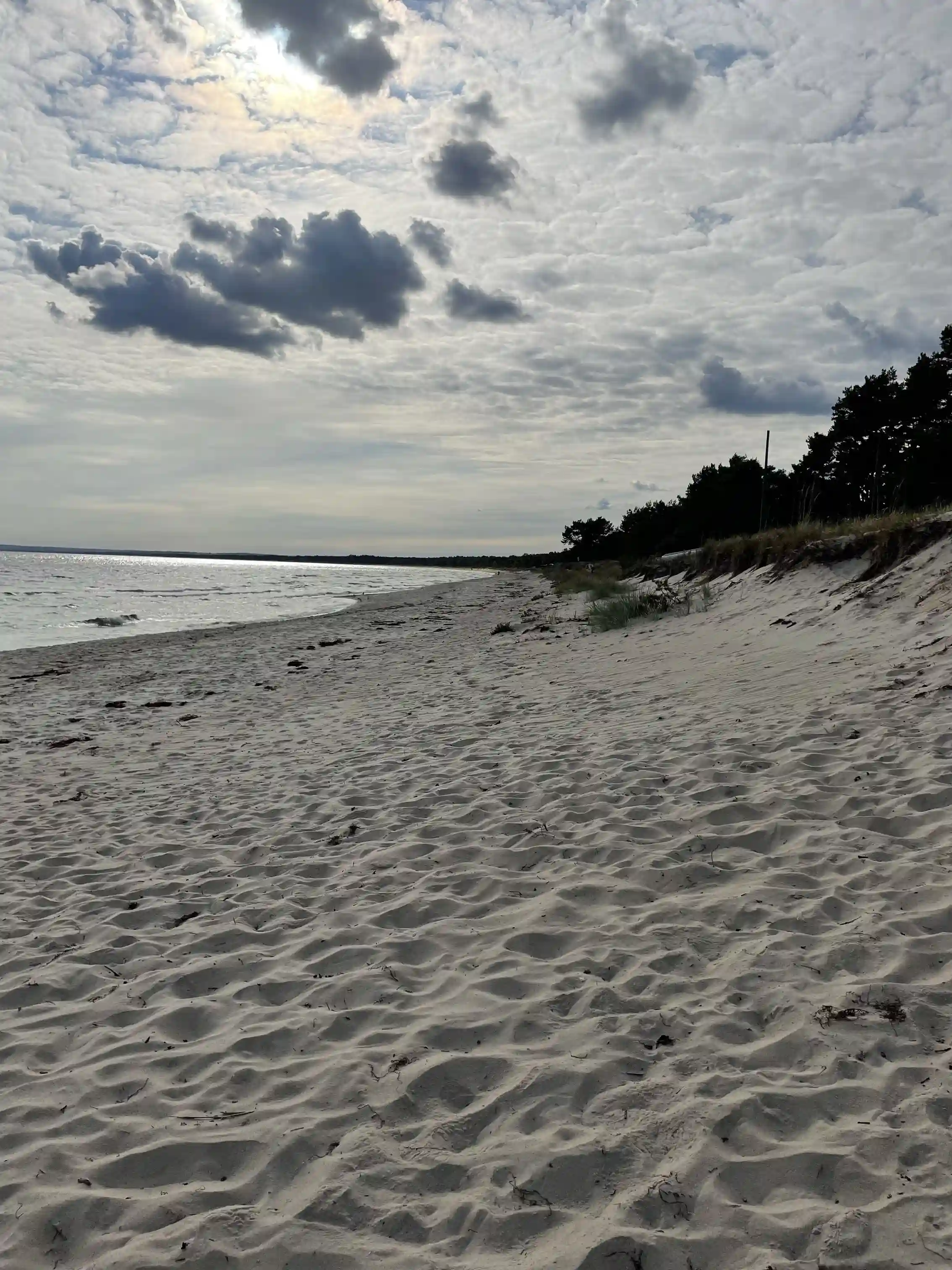 Idyllisk camping i Åhus skogsmiljö, nära sandstrand. Perfekt för avkoppling, äventyr och gemenskap!