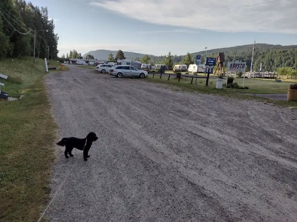 En asfalterad väg på Kävsta Camping med parkerade sportfordon och lastbilar.