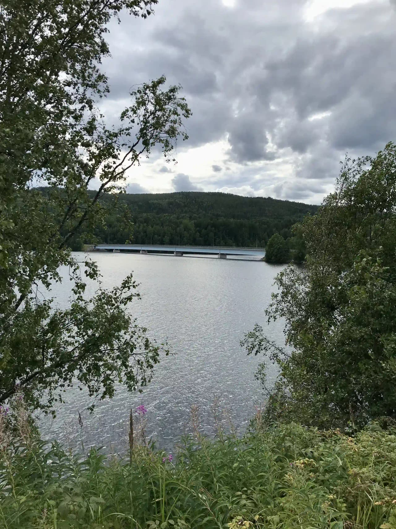 Kävsta Camping vid Indalsälven: Avkoppling och äventyr för familjer i myggfri naturskön miljö nära Sundsvall.