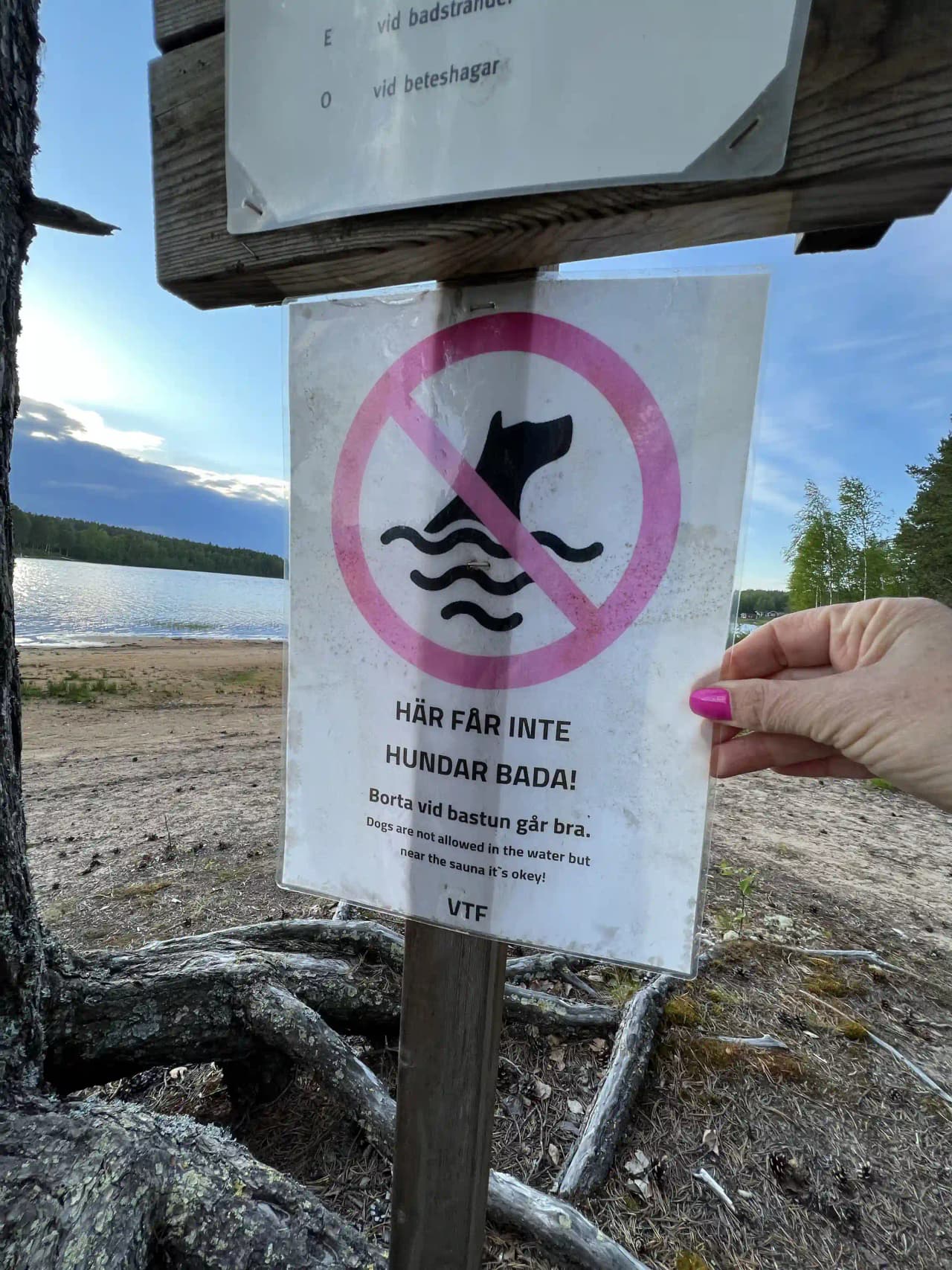 En bild av utsikten över en naturskön plats vid Vallens Turism & Fritid. Skyltar markerar området vid en strandkant nära en reservoar omgiven av våtmarker. En typisk miljö för Lake District med vikar och vidsträckt vatten.