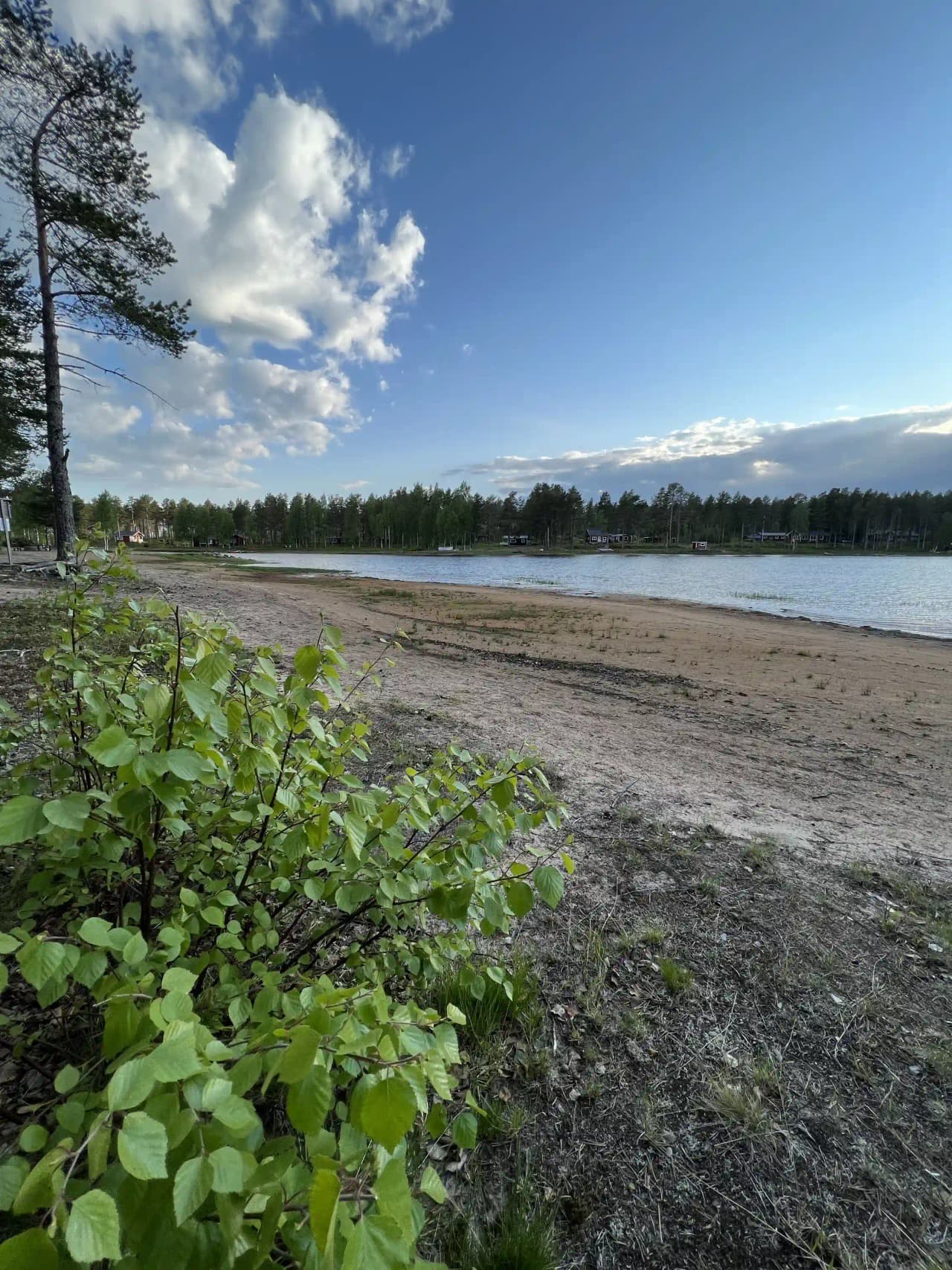 En naturskön vy över en vattenresurs omgiven av grönska, med moln som speglas i vattnet vid strandkanten.