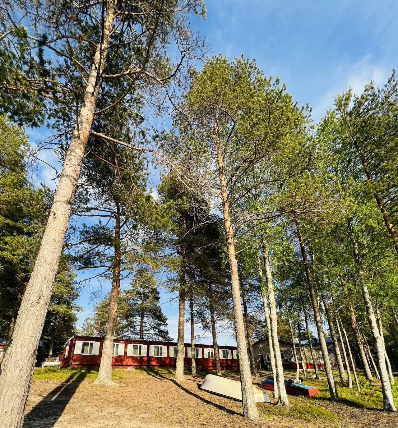 En lummig park med gröna träd och frodig gräsmatta under en ljus vårdag på Vallens turism & fritid.