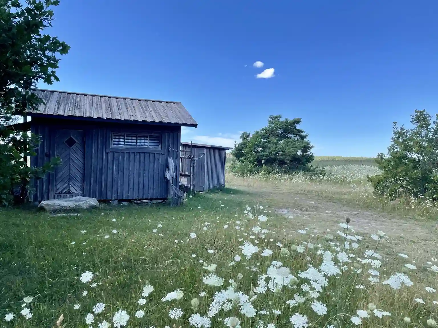 En grönskande äng med spridda skjul och hyddor, omgivna av öppna ytor och växtlighet vid Fide Äventyrsby & Camping.