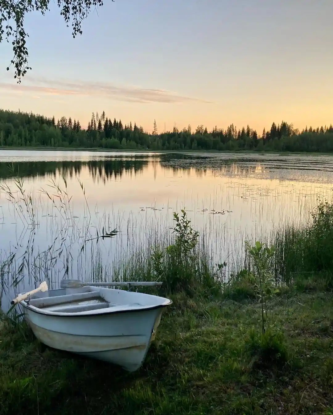 Loos Camping: Få naturnära avkoppling och kulturupplevelser vid sjön Kyrkbytjärn, i charmiga Los! Perfekt för alla campare.