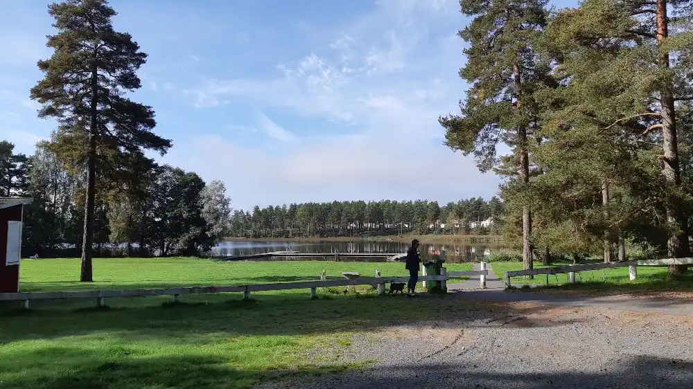 En naturskön campingplats vid Hjortsjön med grönska, parkbänkar och en stilla sjö i bakgrunden.