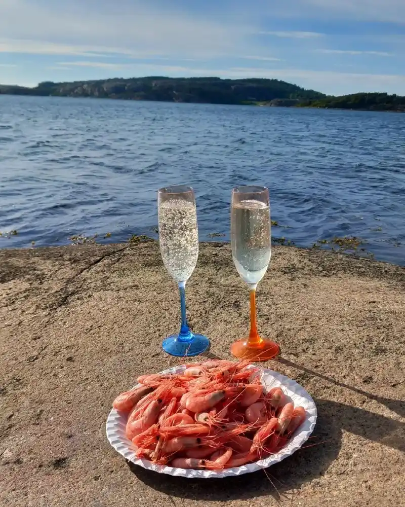 En matig dukning på Fjällbacka camping, med ett bord fullt av tallrikar, glas och serveringsbestick, där alkoholhaltiga drycker och skaldjur serveras.