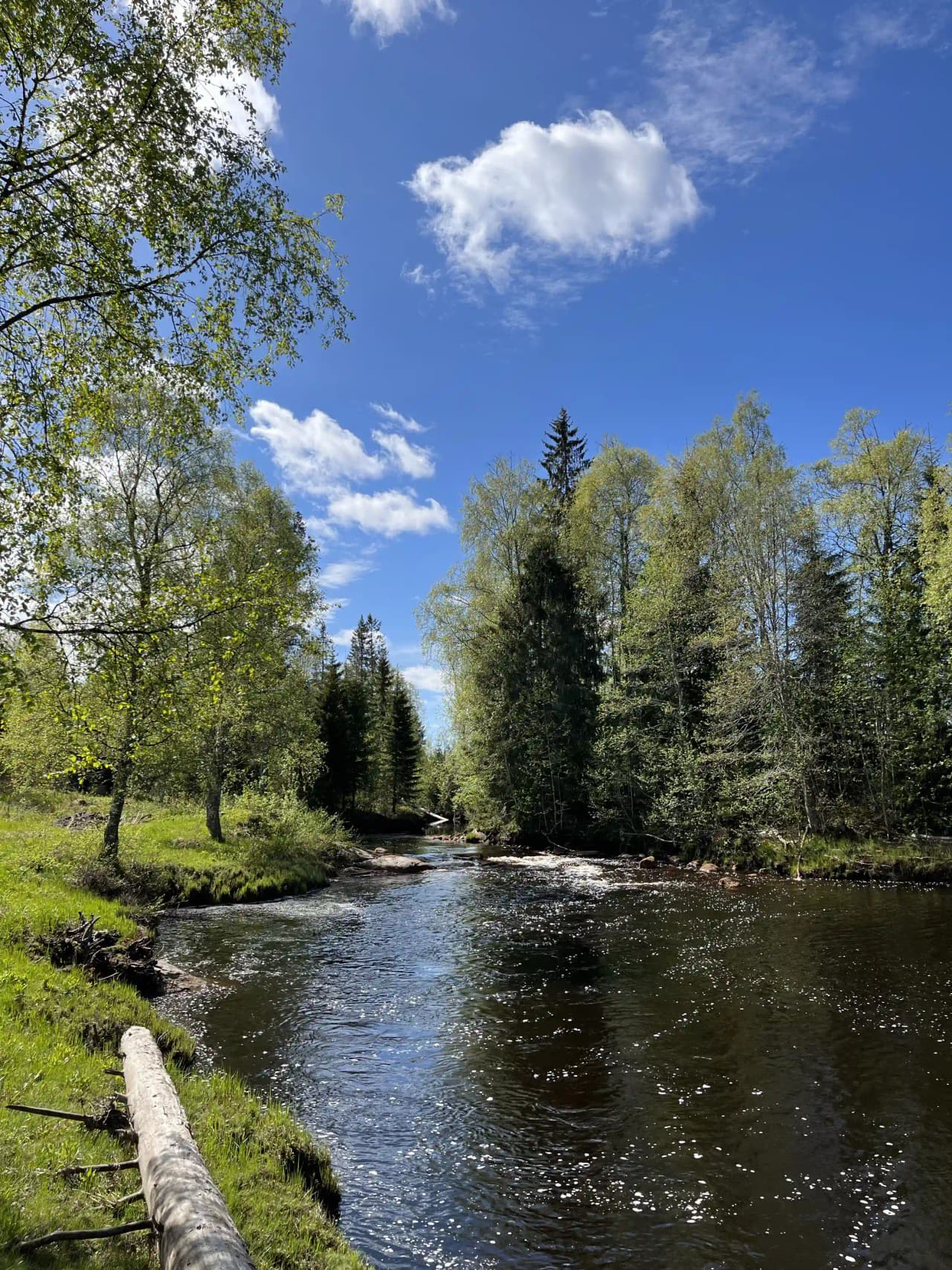 En vacker vy över ett naturskönt område vid Lufta Camping & Restaurang, med grönskande träd och ett stilla vattendrag som slingrar sig genom omgivningen.