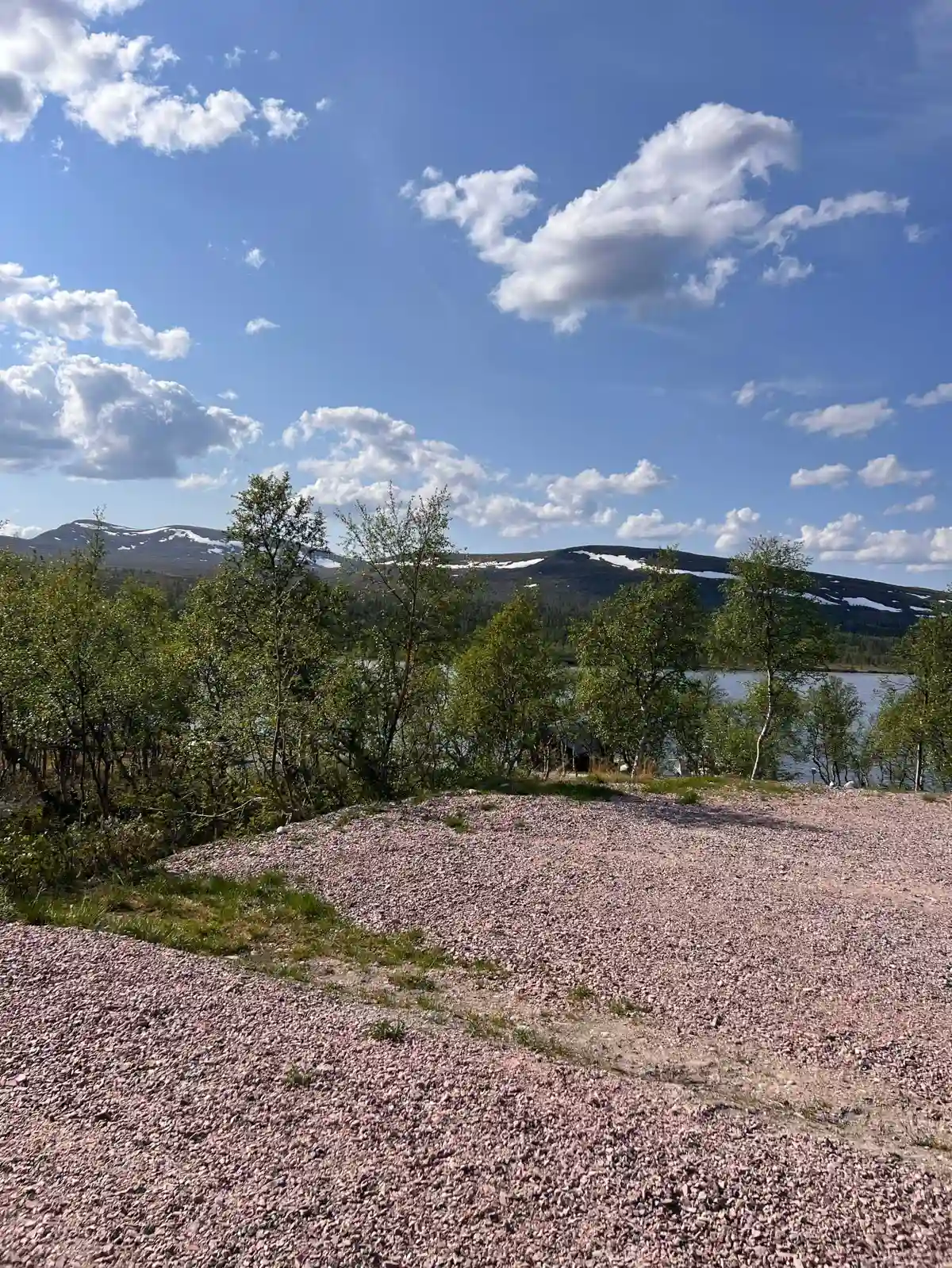 En naturskön vy med ett frodigt landskap av vilda blommor och markvegetation. I bakgrunden syns sjöstugan omgiven av busklandskap och utsikt över glittrande sjöar och berg.