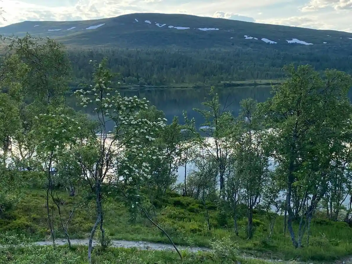 En naturskön vy över en sjöstuga omgiven av frodig grönska, belägen vid en klar sjö med bergen i bakgrunden under en klarblå himmel.