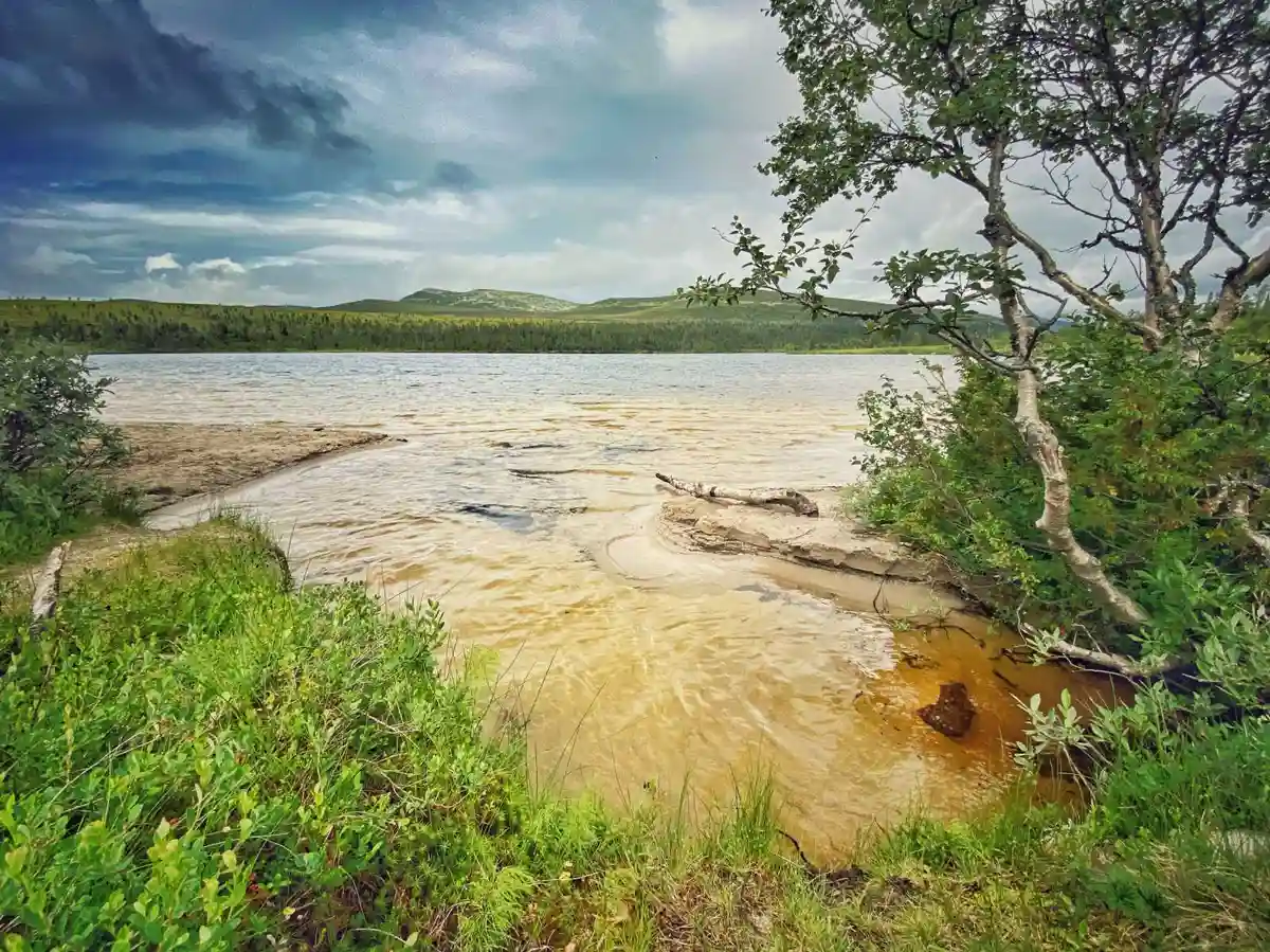 En sjöstuga vid vattnet, omgiven av ett naturlandskap med moln på horisonten och en frodig naturmiljö i bakgrunden.
