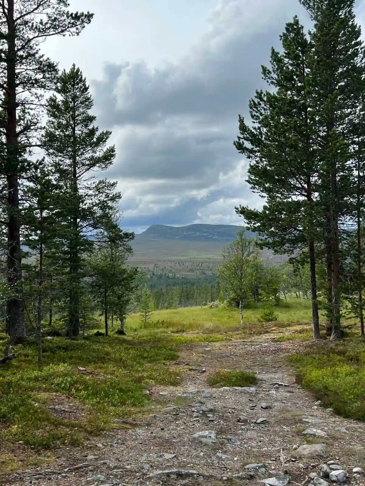 En idyllisk sjöstuga omgiven av grönskande träd och växtlighet under en klar himmel med spridda moln.