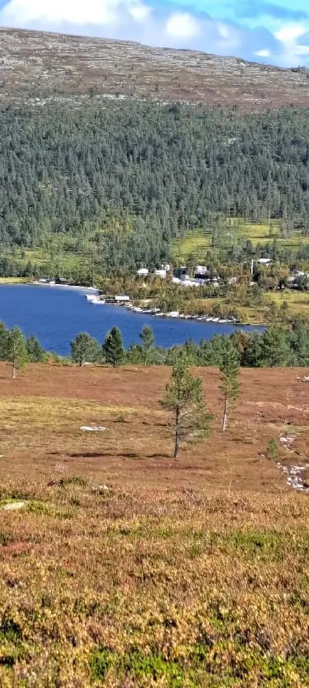 Upplev naturens magi vid Sjöstugan, Grövelsjön – där fjäll, sjö och ro möts! Här finns äventyr, avkoppling och gemenskap.