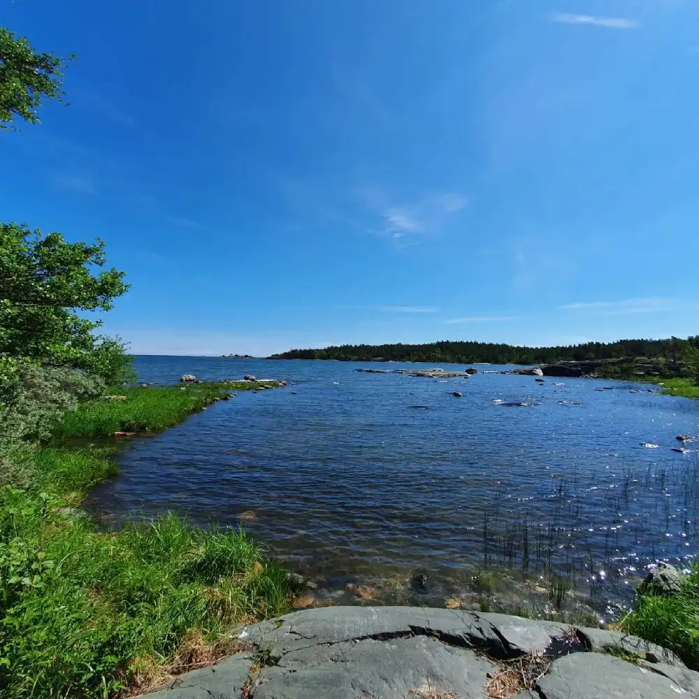 Vy över Ängskärs havscamping med klarblått vatten, frodig vegetation och vidsträckt kustlinje som sträcker sig längs horisonten i en naturlig miljö.