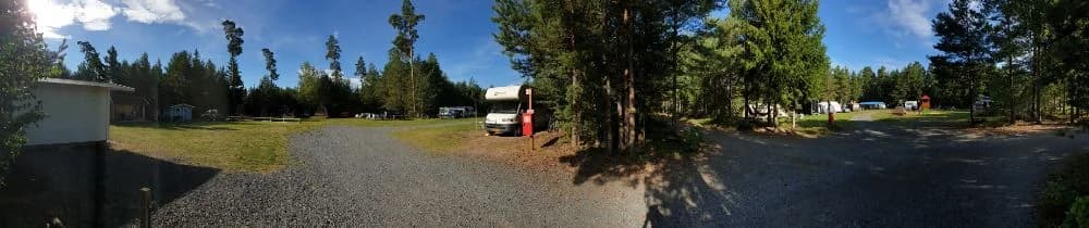 En skogig stig omgiven av frodiga barrträd vid Habo Camping och Stugby.
