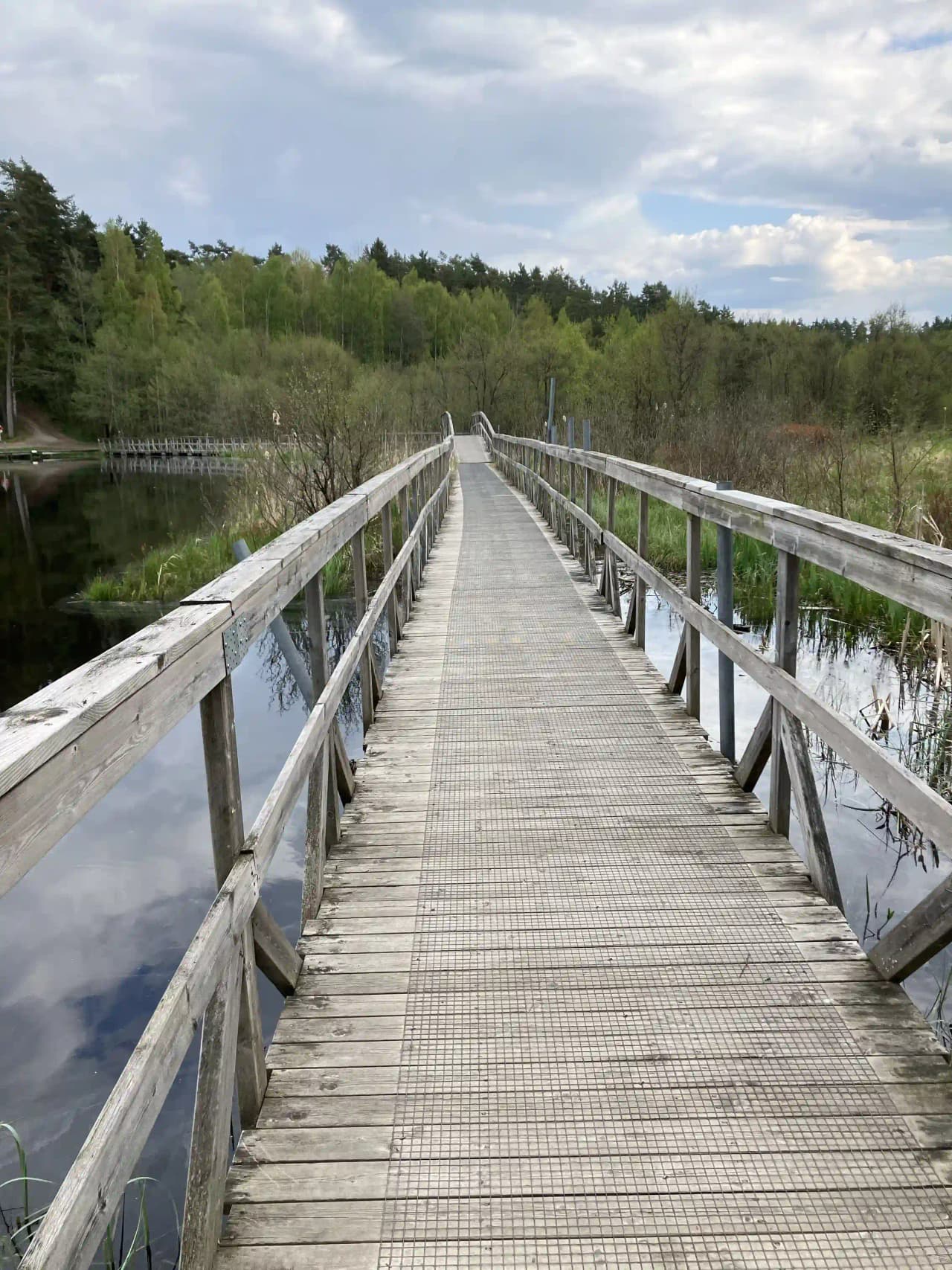 En träbro och gångbro sträcker sig över ett våtmarksområde vid Habo Camping och Stugby, omgiven av grönska och vatten.