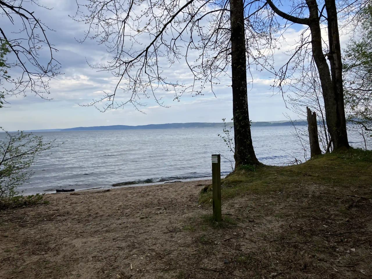 En vacker strandbild vid Habo Camping och Stugby med trädkantad kustlinje och ett lugnt vatten.