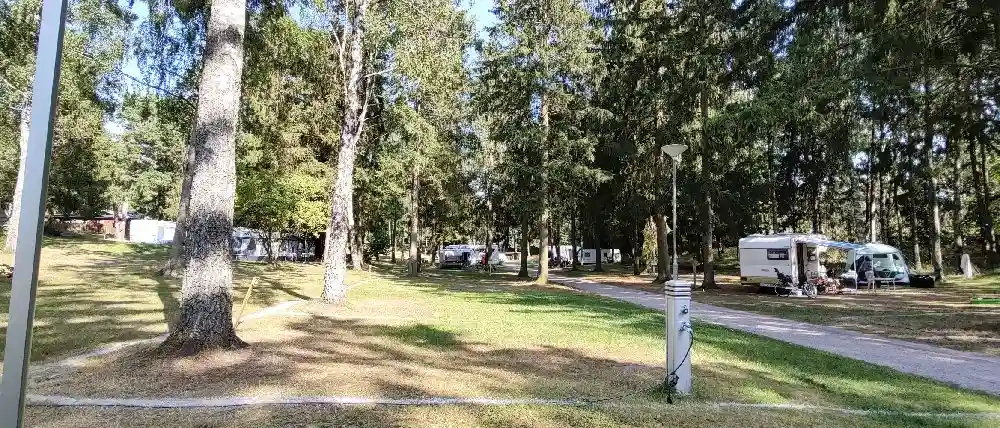 En husvagn parkerad bland träden på Orebackens camping under en skuggig dunge.