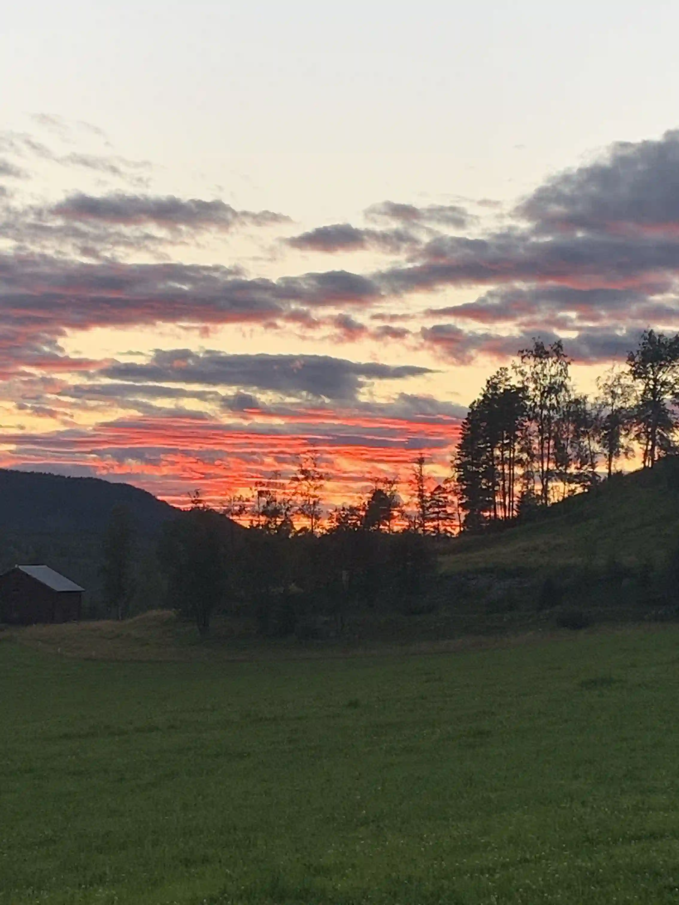 En vacker solnedgång över en stilla sjö omgiven av skog, med himlen i varma toner av rosa och orange.