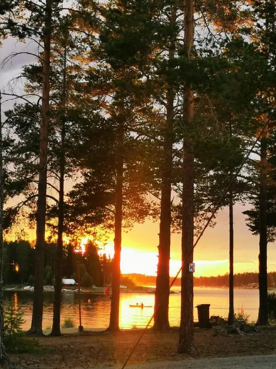 En solnedgång vid Bovikens havsbad med trädgrenar som silhuetter mot den orangea himlen.