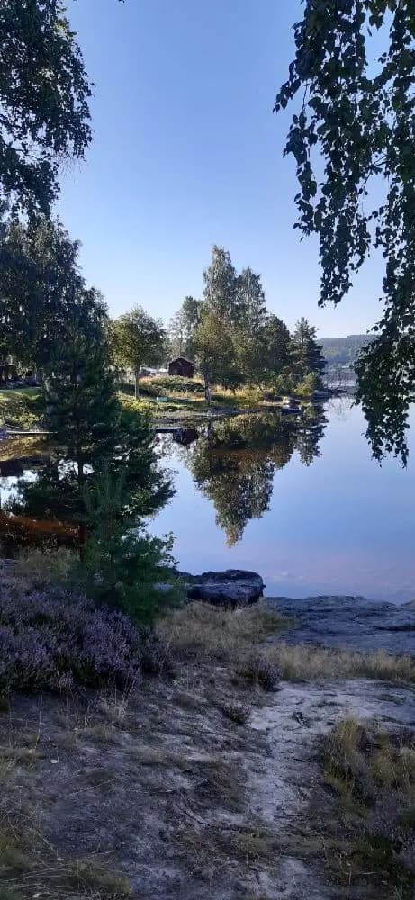 Ett naturskönt område vid Säters camping med en stilla vattenyta, omgiven av träd och grönska, där träden reflekteras i sjön.